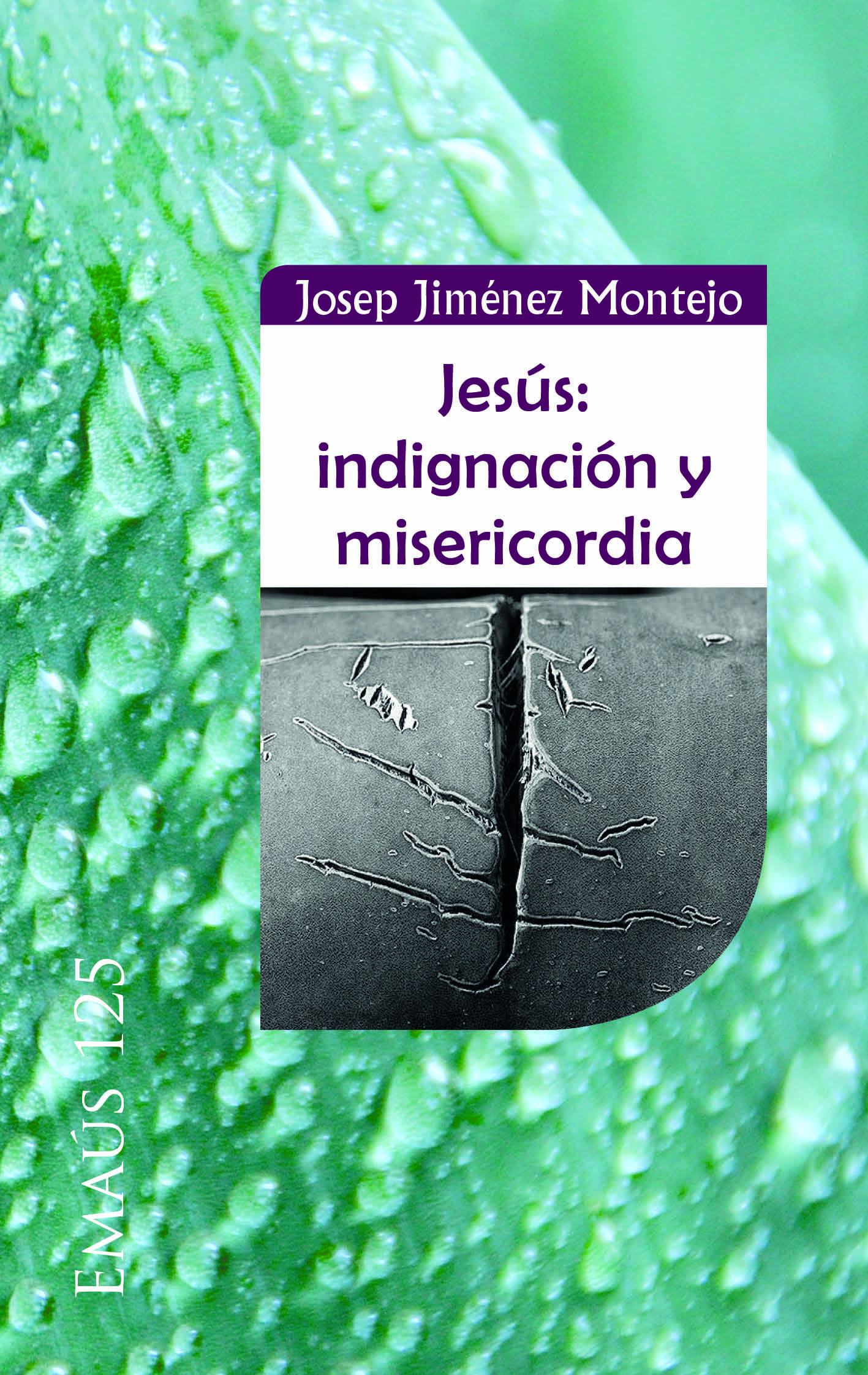 Jesús, indignación y misericordia